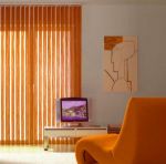Нитяные вертикальные жалюзи в интерьере| фото